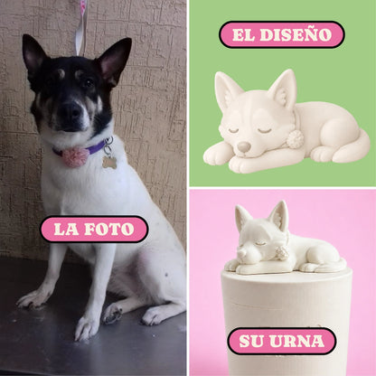 Urna "Sueño Eterno" - Personalizada